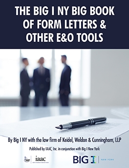 Big Book of Form Letters & Other E&O Tools - Print Version
